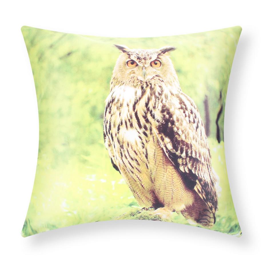 Avizar Lot 2 Housses de Coussin Hibou  