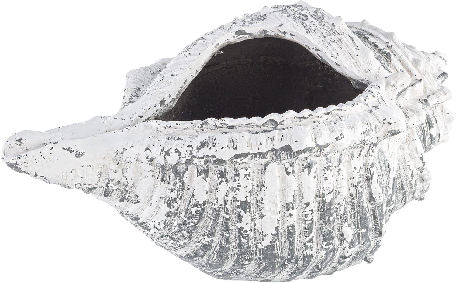 Image of Garten Pflanzentopf Muschel Magnesia 68x38 Garten Pflanzentopf Muschel Magnesia 68x38