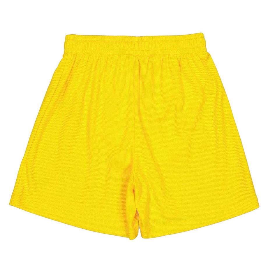 PUMA  Performance Shorts 