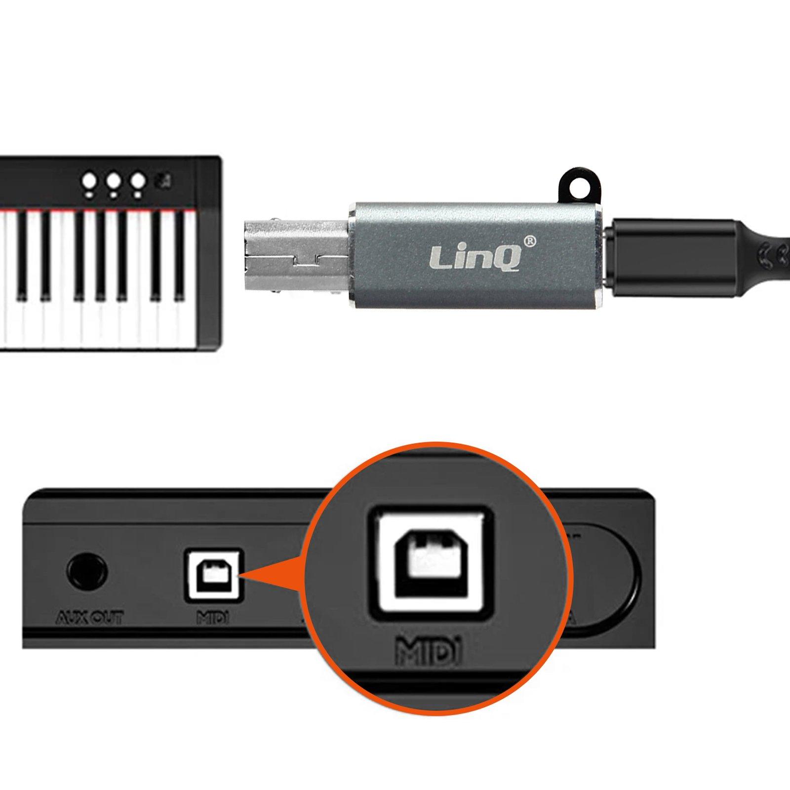 Avizar  USB-C Buchse / USB-B Stecker Adapter 