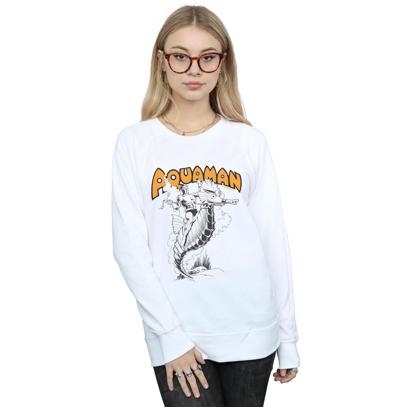 DC COMICS  Sweatshirt 