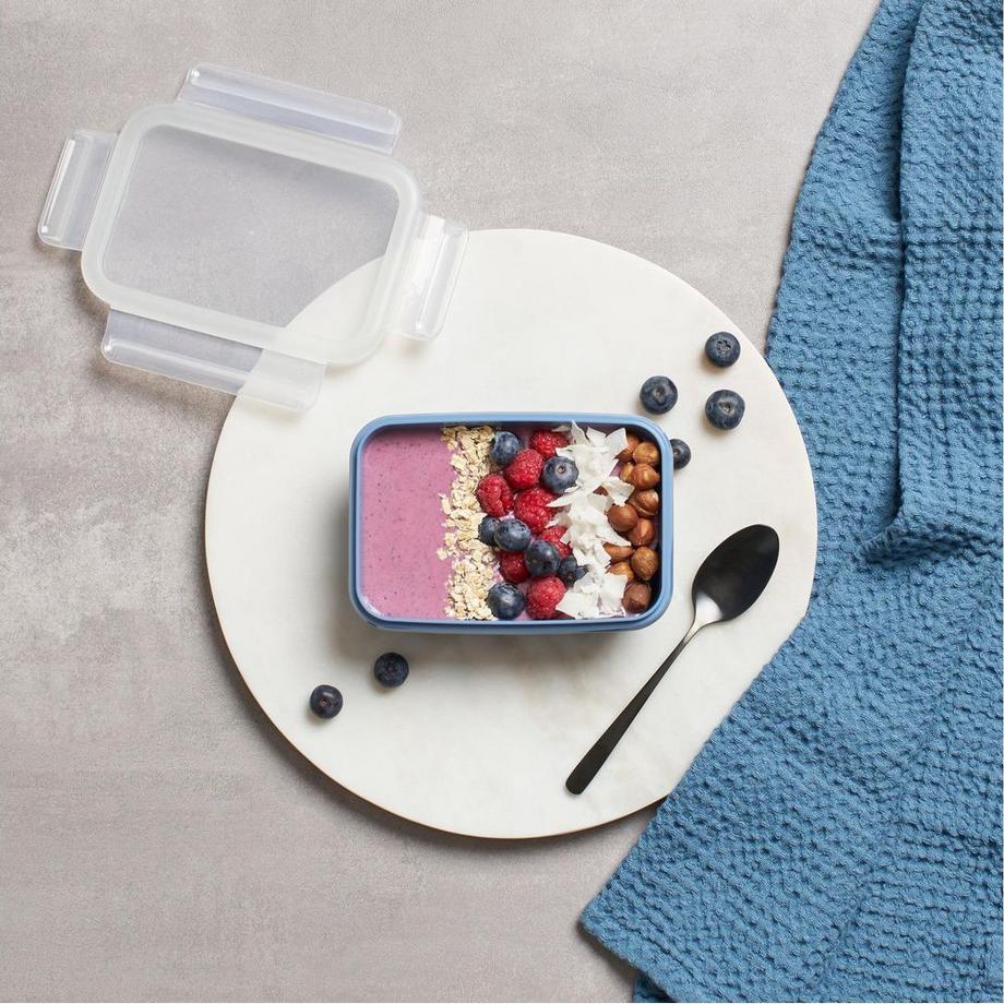 emsa  EMSA Clip & Close Rettangolare Scatola 0,55 L Blu 1 pz 