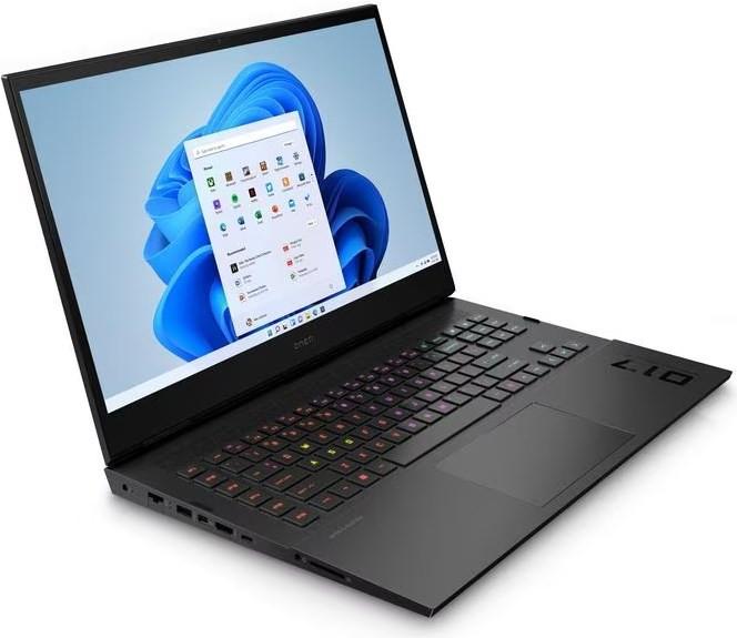 Hewlett-Packard  Omen 17-ck2940nz (17.3" WQHD, i9HX, 32GB, 2TB SSD, RTX 4080, W11H) 