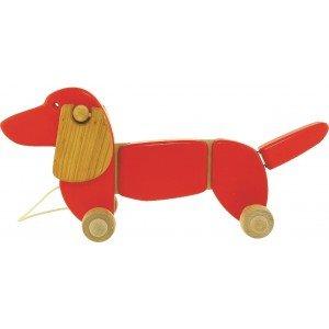 Image of Dackel Rot Rot