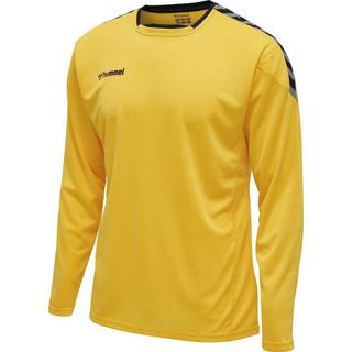 Hummel  trikot manche longue hmlauthentic poly 