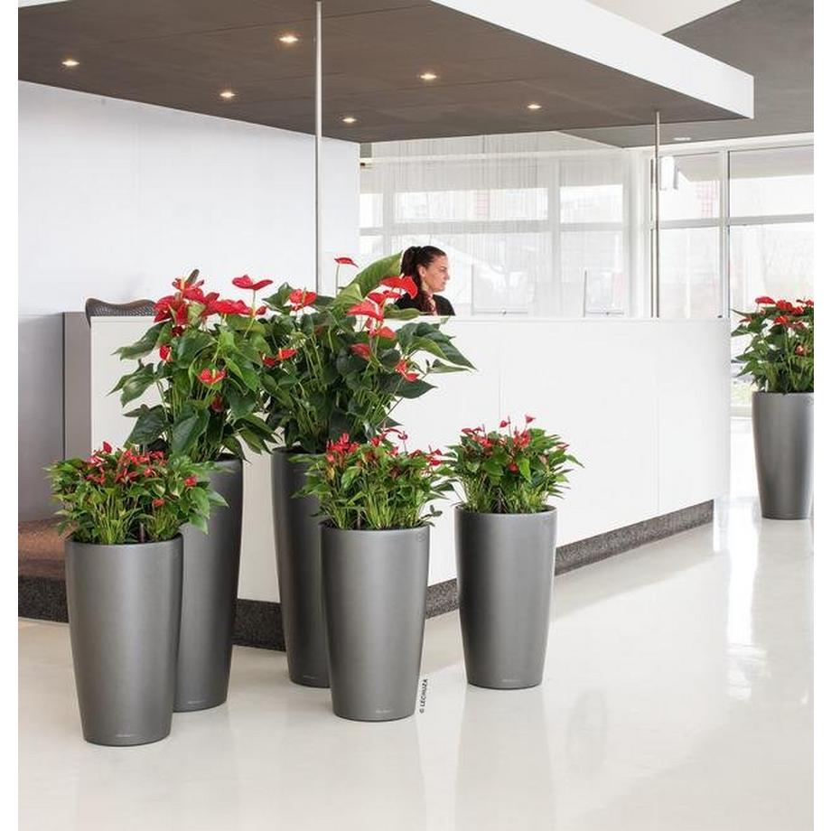 Lechuza Premium Collection RONDO all-in-one  