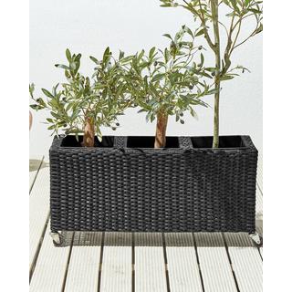 Beliani Cache-pot en Polyrotin Rustique BELLIS  