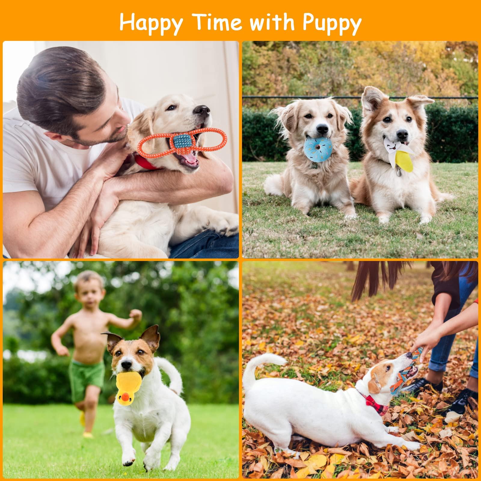 Activity-board  Lot de 8 Cordes pour Chien en Peluche Grinçantes, Jouet pour Chiot, Petits Chiots, Lavables, en Coton Naturel et Non Toxiques 