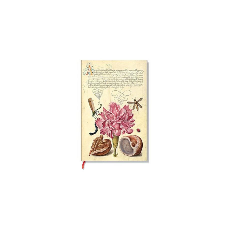 Carnet  Œillet
