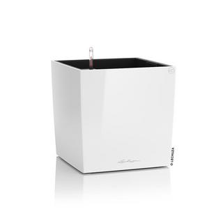 Lechuza Premium Collection CUBE all-in-one  