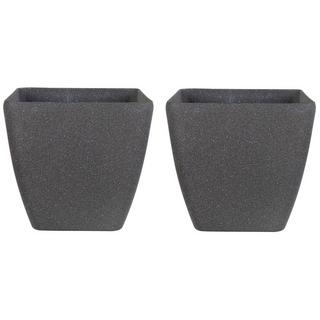 Beliani Lot de 2 pots de fleurs en Fibre d'argile Industriel ZELI  