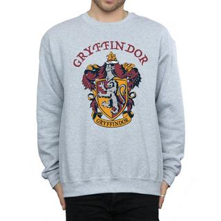 Harry Potter  Sweatshirt 