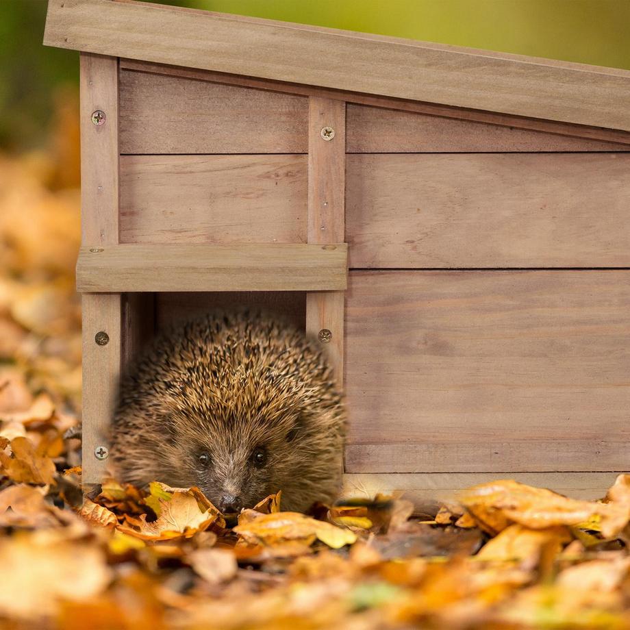Northix  Maison pour hérisson avec étage 