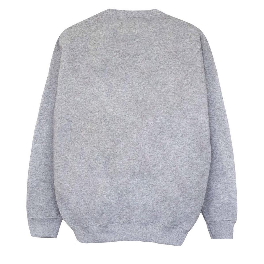 HARRY-POTTER  Sweatshirt 