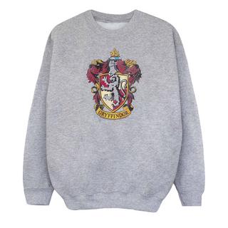 Harry Potter  Sweatshirt 