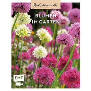 Gartenmomente: Blumen im Garten