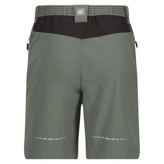 Regatta  Mountain II Shorts 