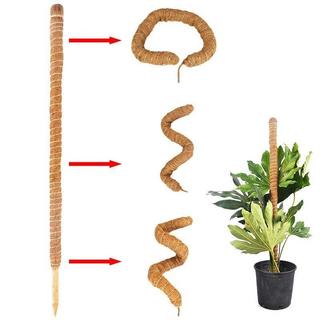Northio Support pour plantes flexible - 60 cm  
