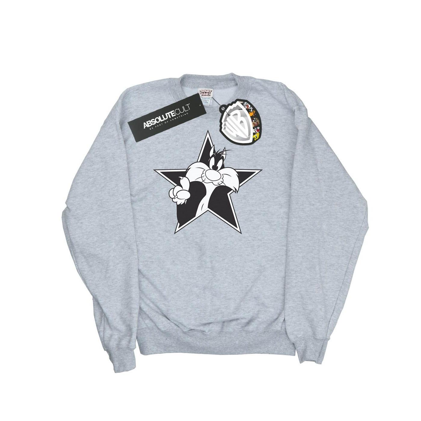 Image of Sylvester Mono Star Sweatshirt Jungen Grau 152-158