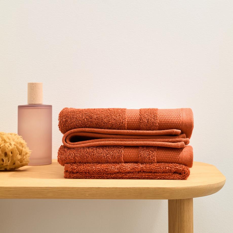 La Redoute Intérieurs Set mit 4 Gästehandtüchern aus ägyptischer Baumwolle 600g/m2  