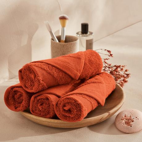 La Redoute Intérieurs Set mit 4 Gästehandtüchern aus ägyptischer Baumwolle 600g/m2  