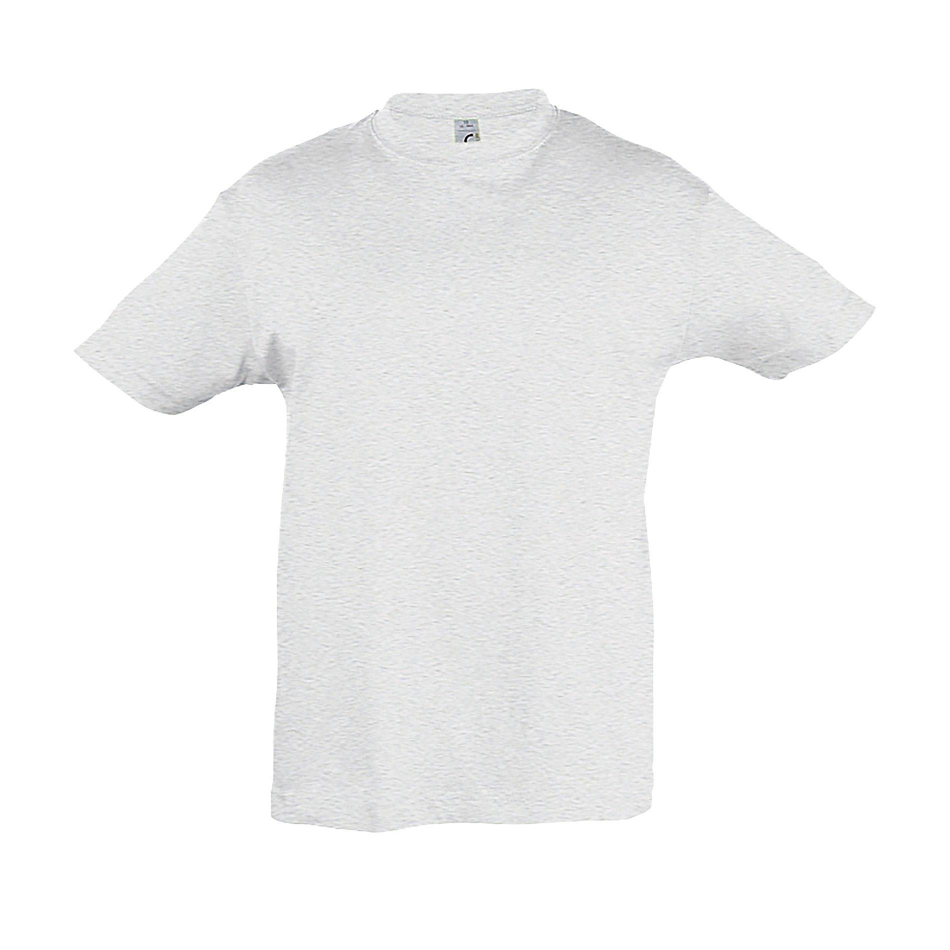 Image of Regent Tshirt, Kurzarm Jungen Grau W52