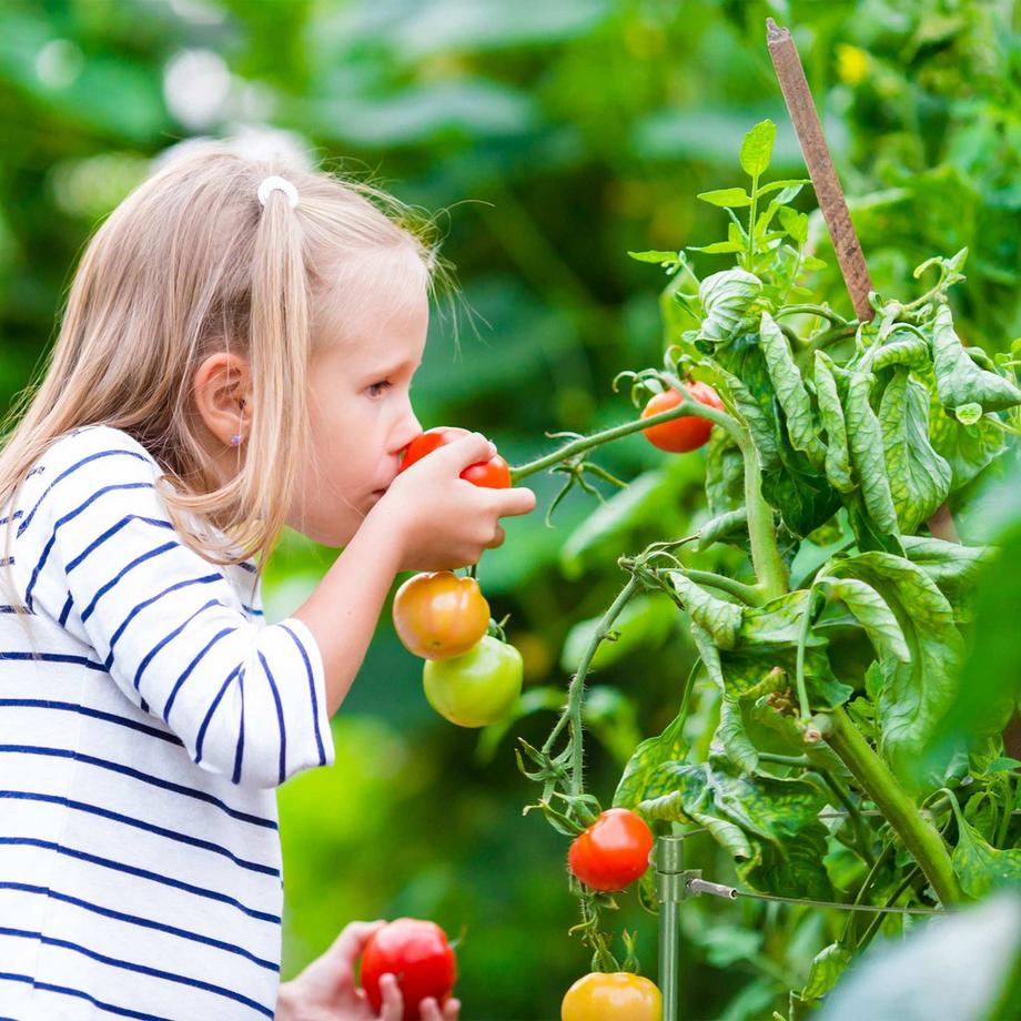 B2X Supporti per piante verdi 60 cm, set da 4  