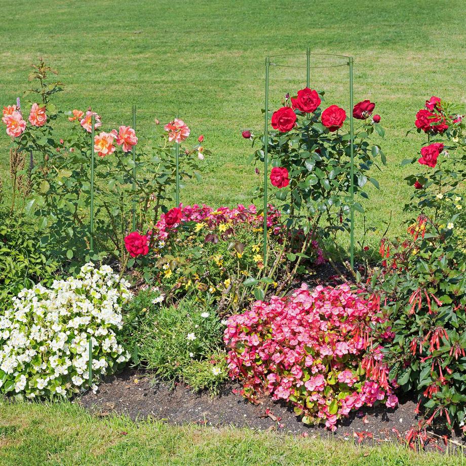 B2X Supporti per piante verdi 60 cm, set da 4  