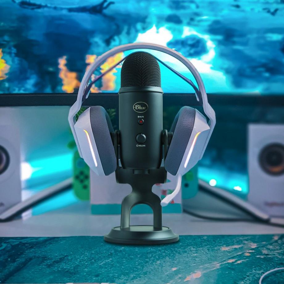 BLUE  Microfono per PC 
