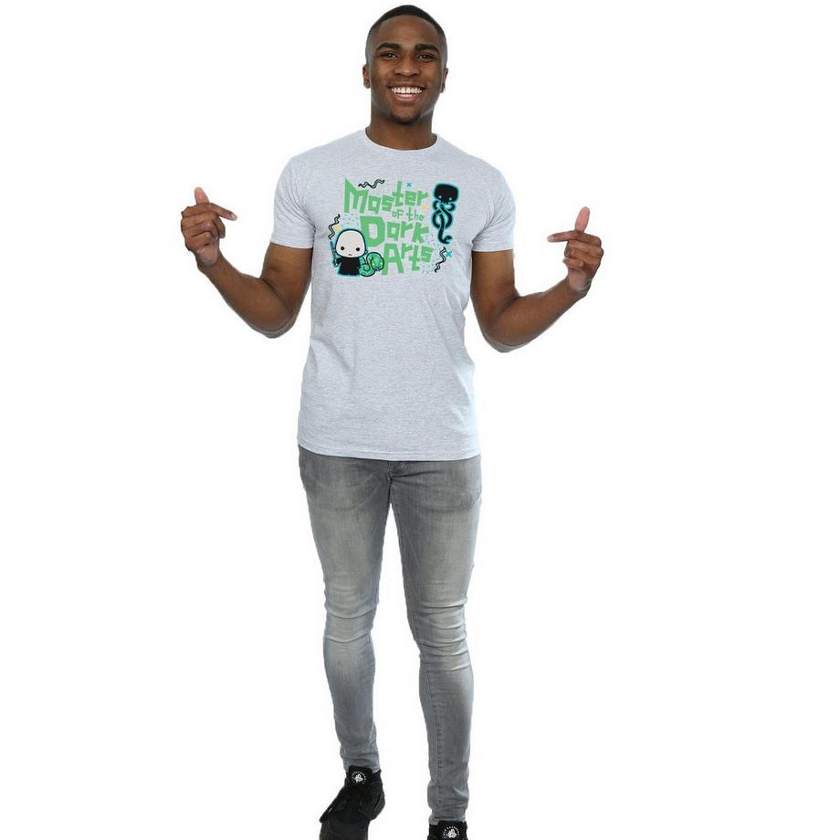 Harry Potter Voldemort Dark Arts Junior T-Shirt  