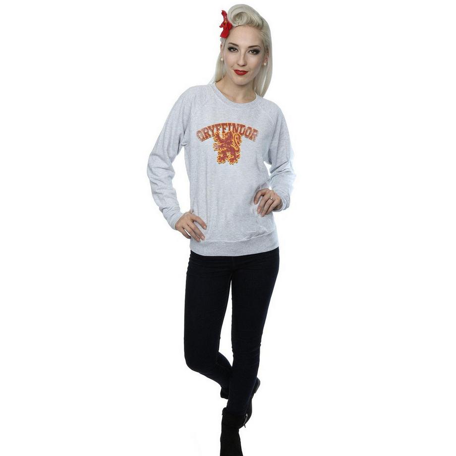Harry Potter Sweat Gryffindor  