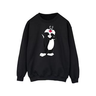 LOONEY TUNES  Sweat 