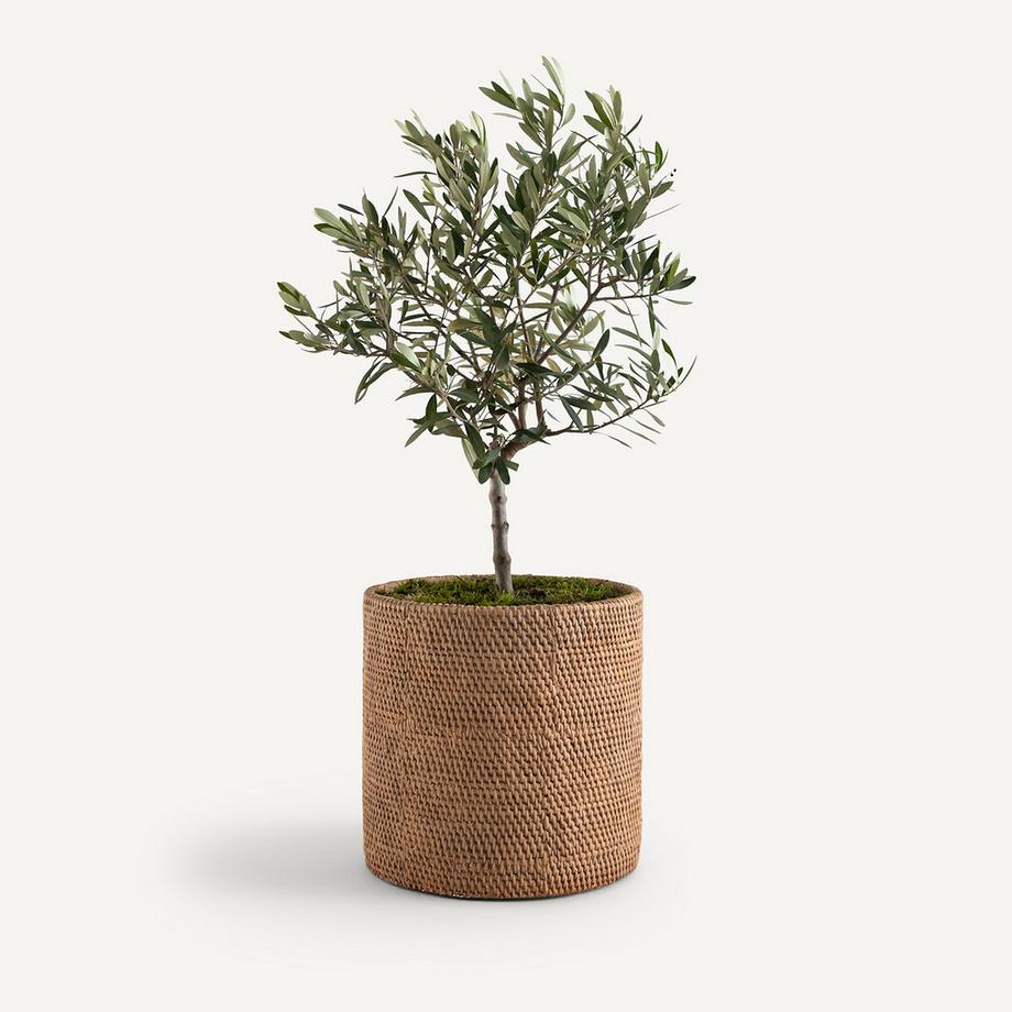 AM.PM Cache-pot en grès H30 cm  