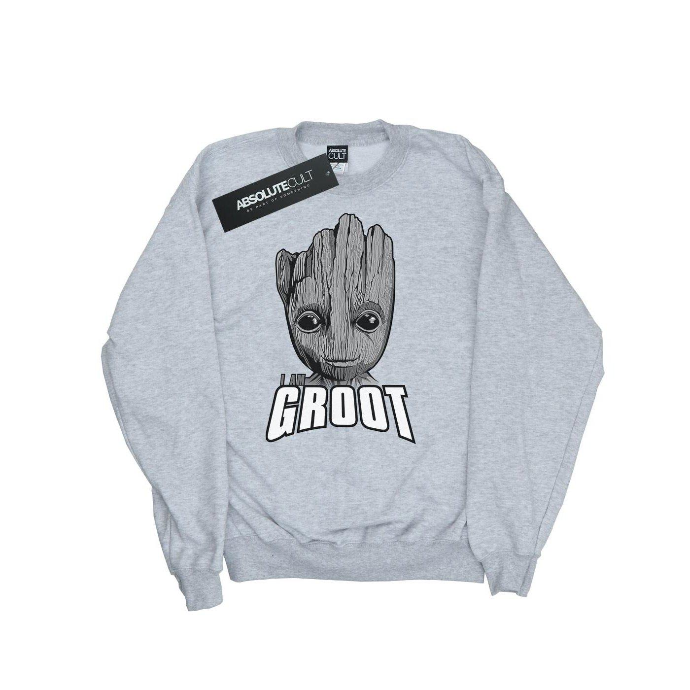 Image of Guardians Of The Galaxy Groot Face Sweatshirt Unisex Grau 128