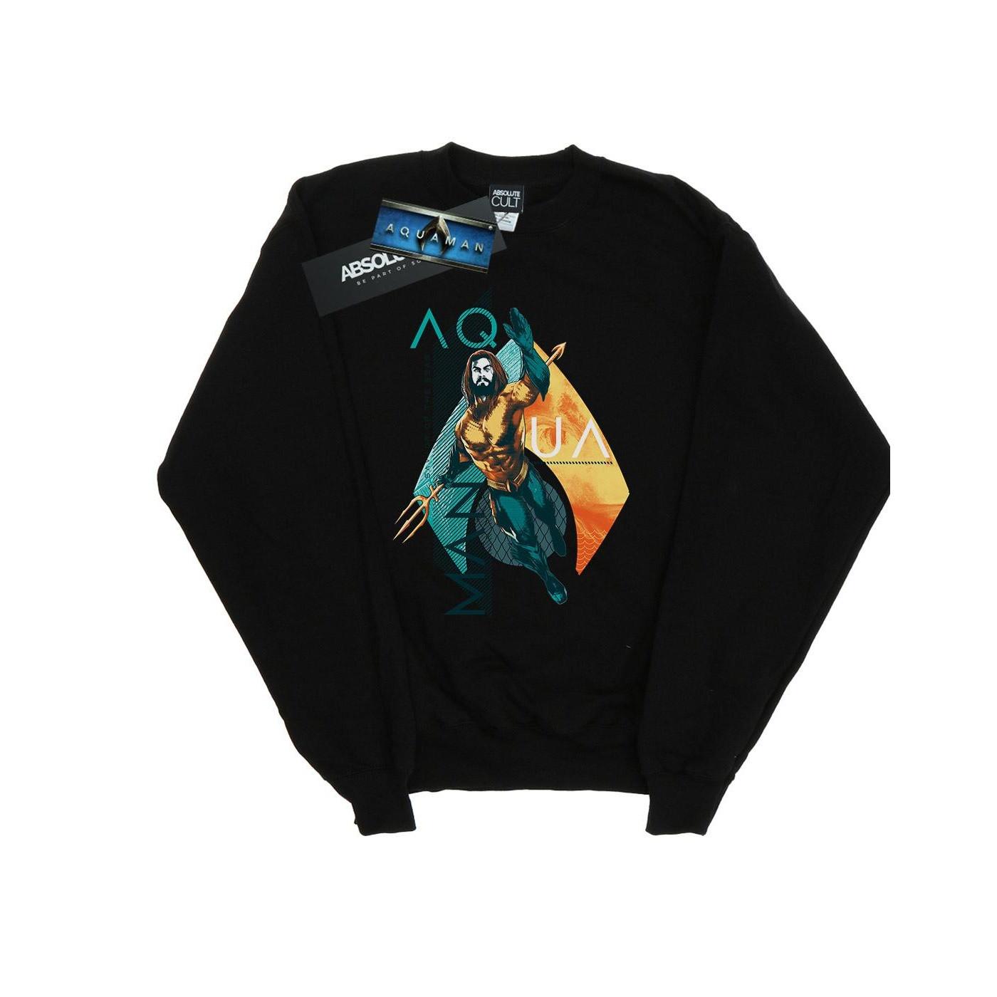 DC COMICS  Sweatshirt 