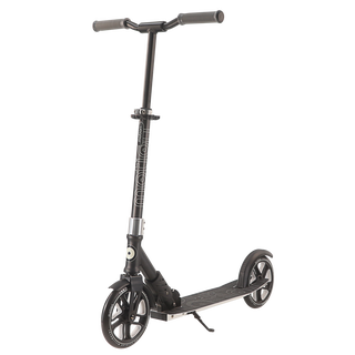 Motion Scooter  City Speedy 200 SilverBlack 