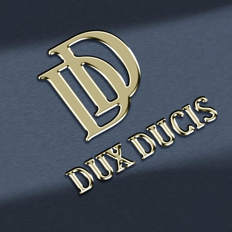 DuxDucis  Étui Samsung Galaxy S24 Dux Ducis Bleu 