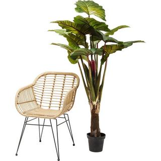 KARE Design Plante Déco Rainforest Green 160cm  