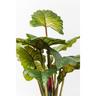 KARE Design Deko Pflanze Rainforest Green 160cm  