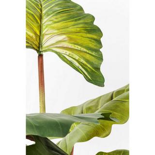 KARE Design Plante décorative Rainforest Green 160cm  