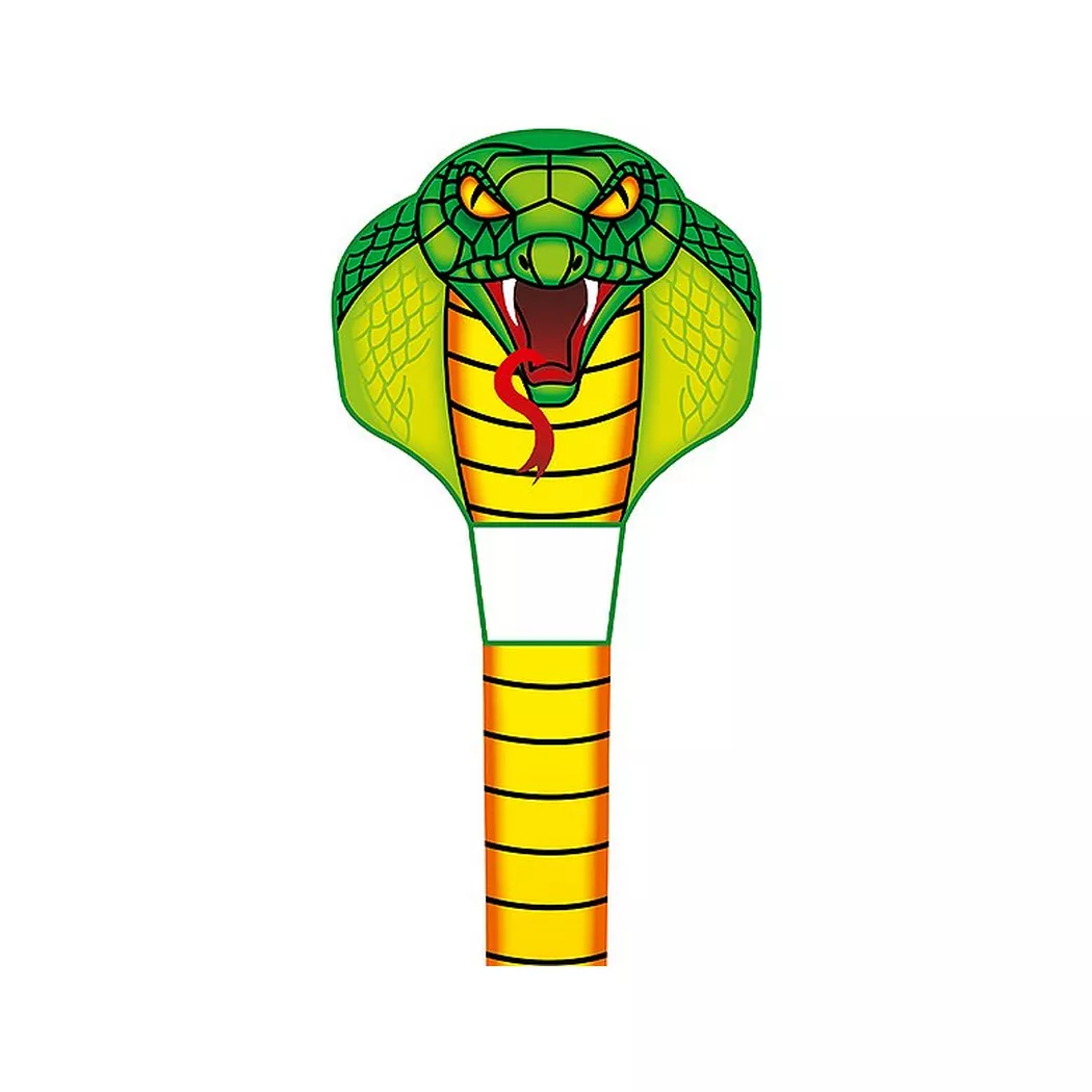 HQ INVENTO - Eco Line Emerald Cobra Kite, One Size