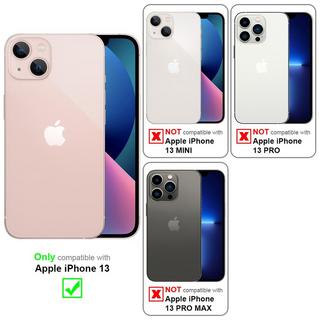 Cadorabo  Housse compatible avec Apple iPhone 13 - Aspect rayé - Coque de protection en silicone TPU et dos en verre trempé 