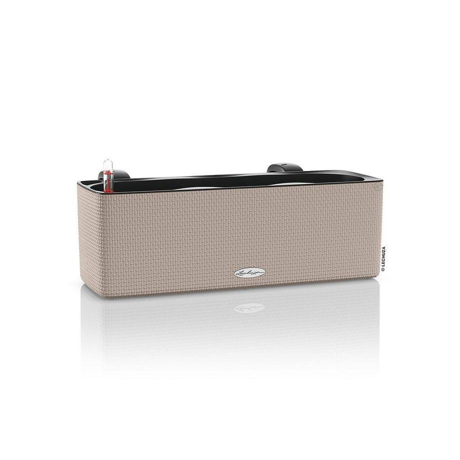 Trend Collection TRIPLE Color all-in-one