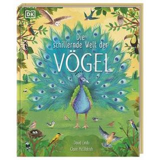 Die schillernde Welt der Vögel Lindo, David; DK Verlag - Kids (Hrsg.); McElfatrick, Claire (Illustrationen); Held, Andreas (Übersetzung) Gebundene Ausgabe 