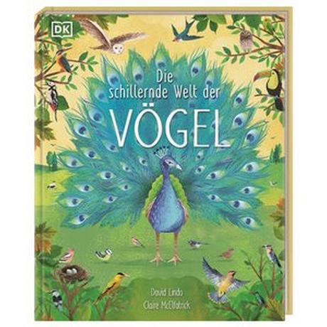 Die schillernde Welt der Vögel Lindo, David; DK Verlag - Kids (Hrsg.); McElfatrick, Claire (Illustrationen); Held, Andreas (Übersetzung) Gebundene Ausgabe 