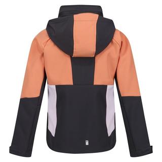 Regatta  Veste softshell HAYDENBURY Enfant 