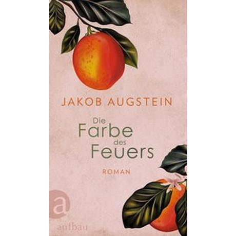 Die Farbe des Feuers Augstein, Jakob Couverture rigide 