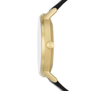 SKAGEN  SKW6896 Kuppel 