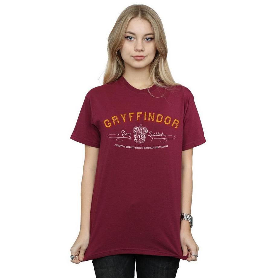 Harry Potter Gryffindor Quidditch T-Shirt  