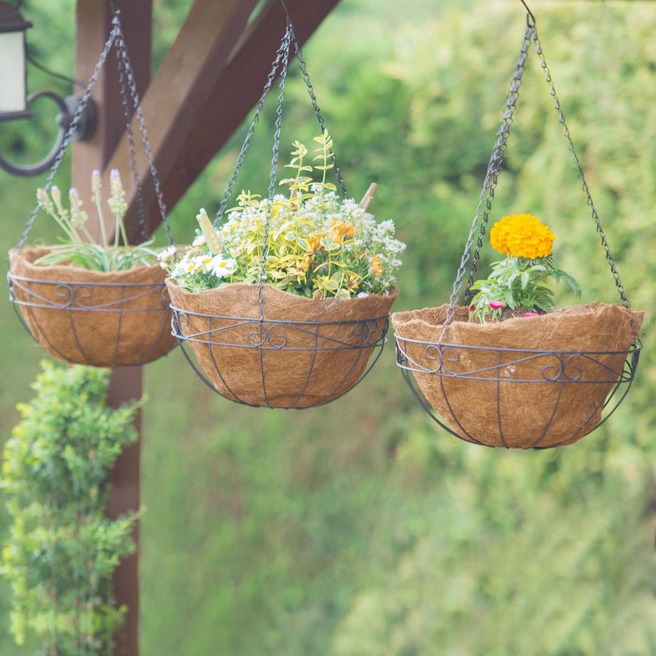 B2X Ensemble de 3 fibres de coco Ampel  